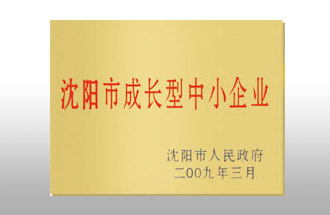 沈陽市成長(zhǎng)型中小企業(yè).jpg