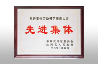 先進(jìn)集體勞動(dòng)模范表彰大會(huì)先進(jìn)集體.jpg