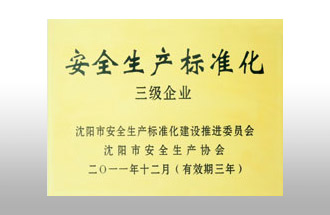 安全生產(chǎn)標(biāo)準(zhǔn)化